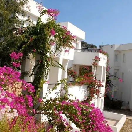 Club Pedalisa 3* Бодрум